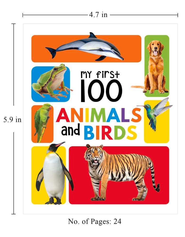 My First 100 Library: Boxset of 5 Early Learning Board Books for Kids/Children (homeschool | preschool | baby/toddler)