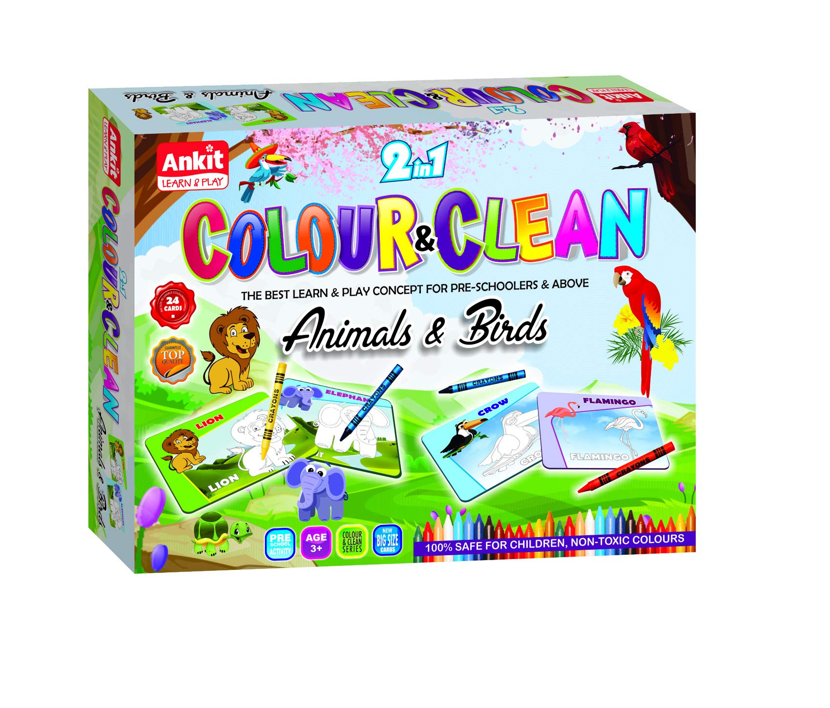 2 in 1 Colour & Clean (Animals + Birds),  Educational game