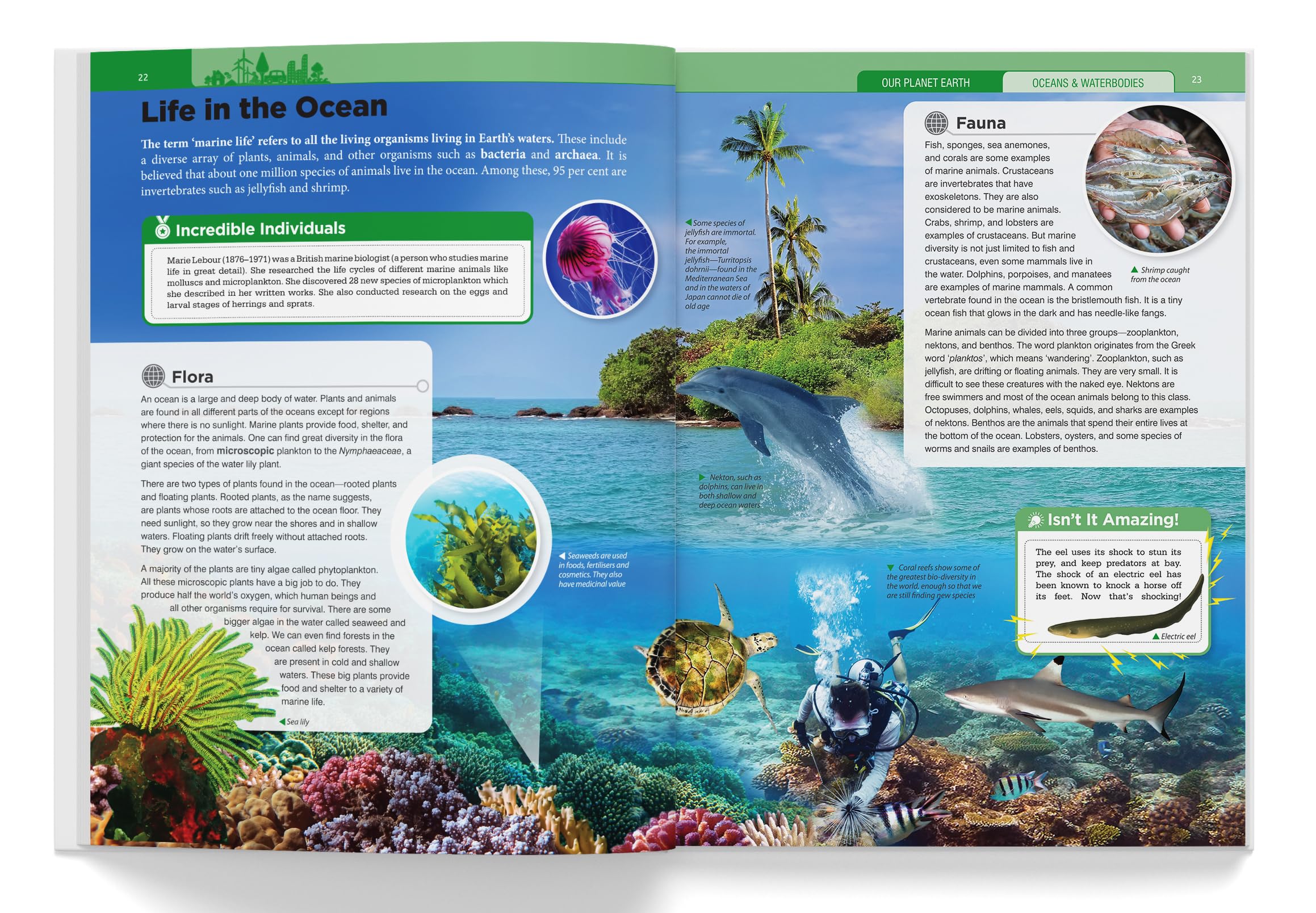 Our Planet Earth, Animals and Human Body - Children Encyclopedia