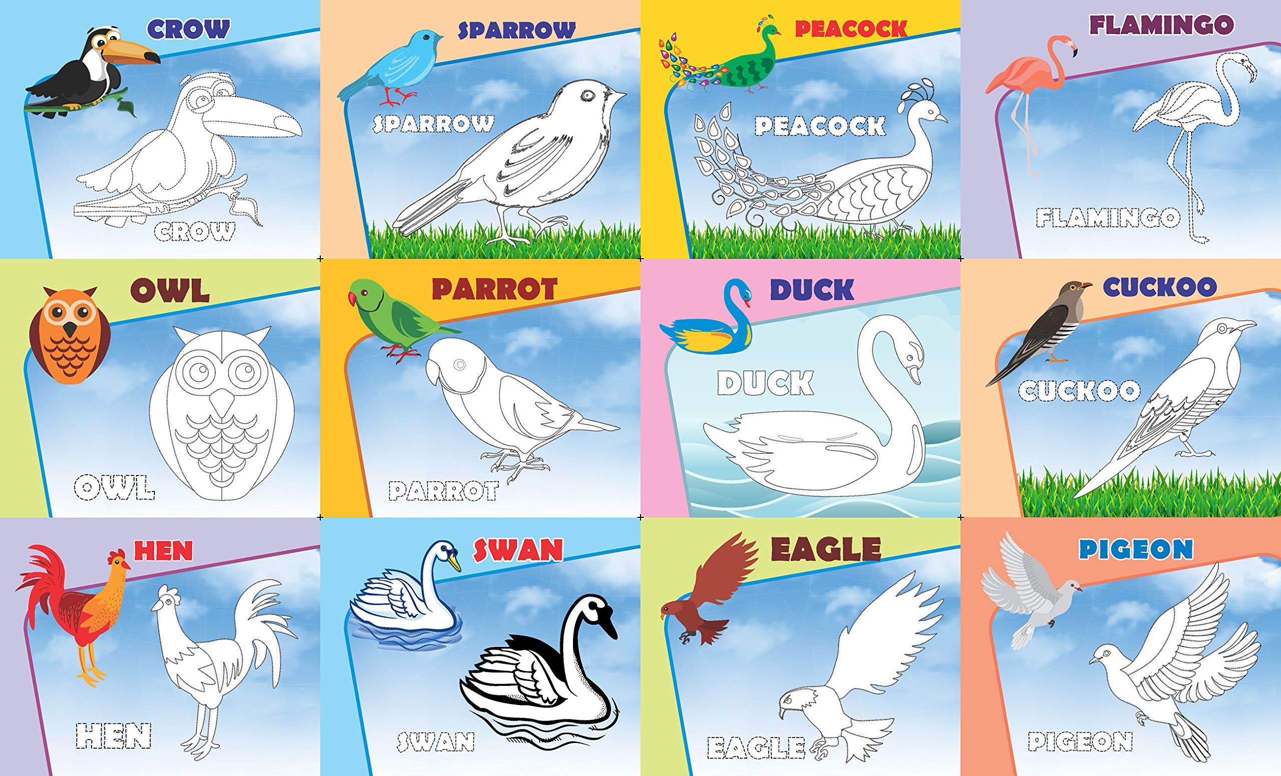 2 in 1 Colour & Clean (Animals + Birds),  Educational game