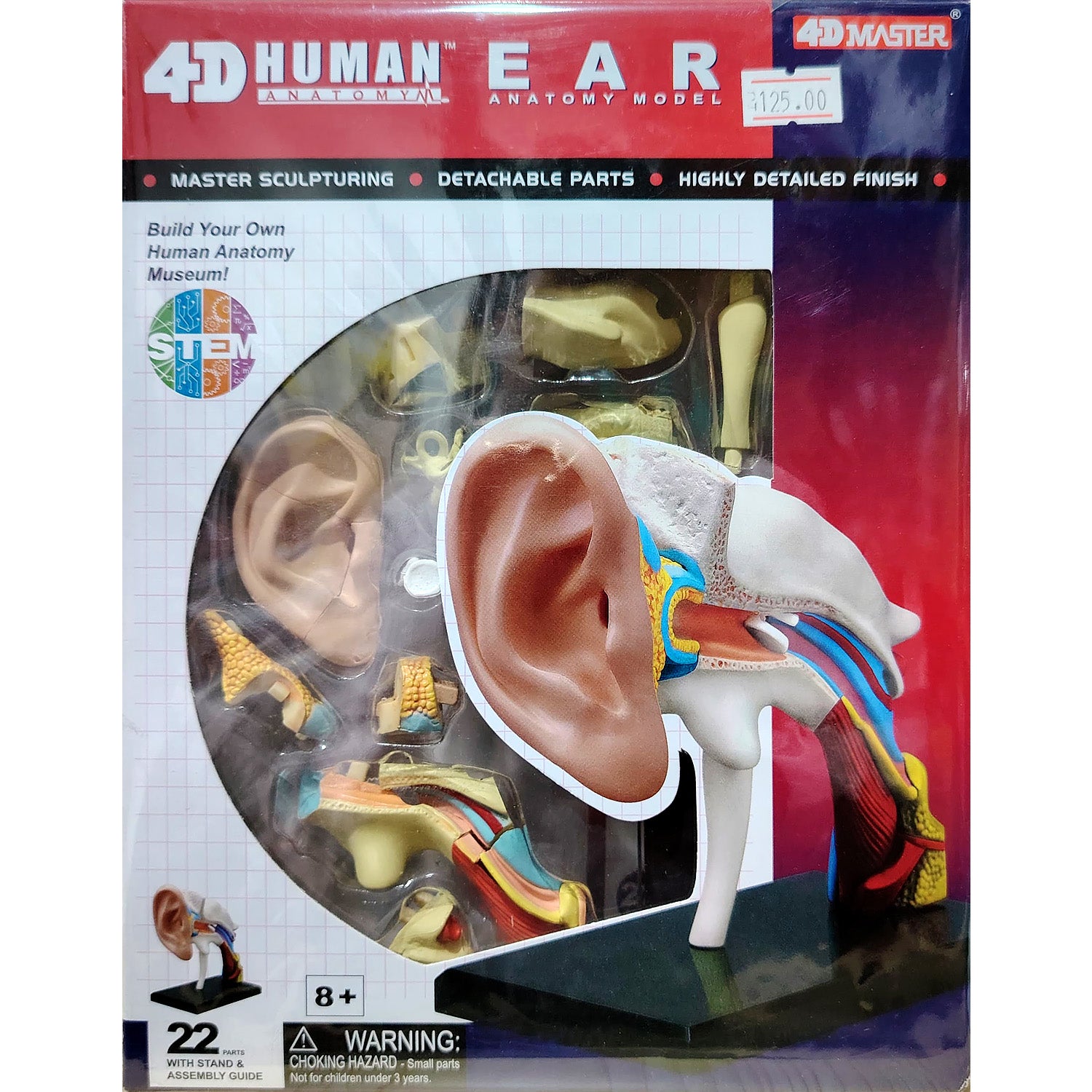 4D HUMAN ANATOMY: EAR Model, STEM Science Project Kit, Detachable Parts, Highly Detailed Finish, Age 8+