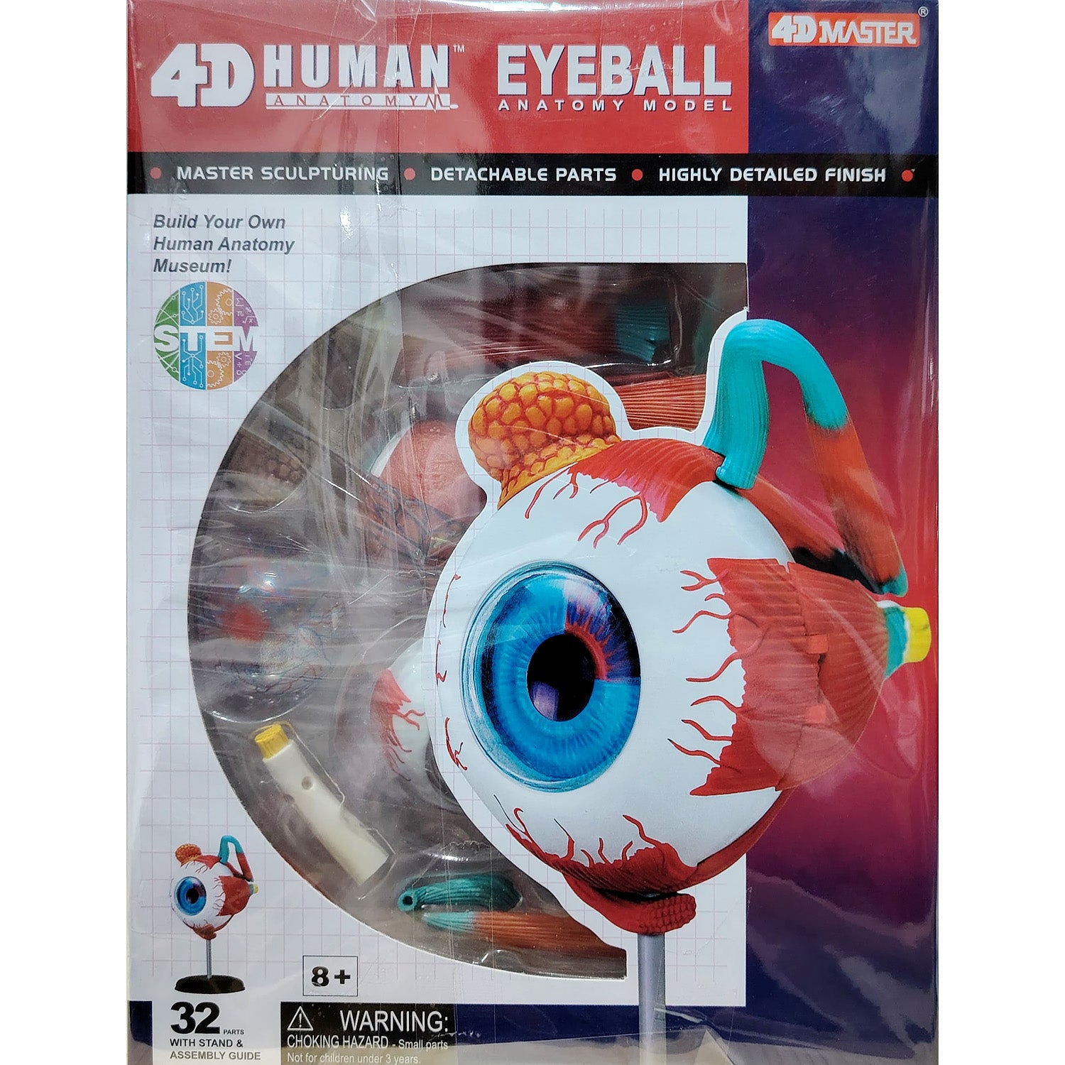 4D HUMAN ANATOMY: EYEBALL Model, STEM Science Project Kit, Detachable Parts, Highly Detailed Finish, Age 8+