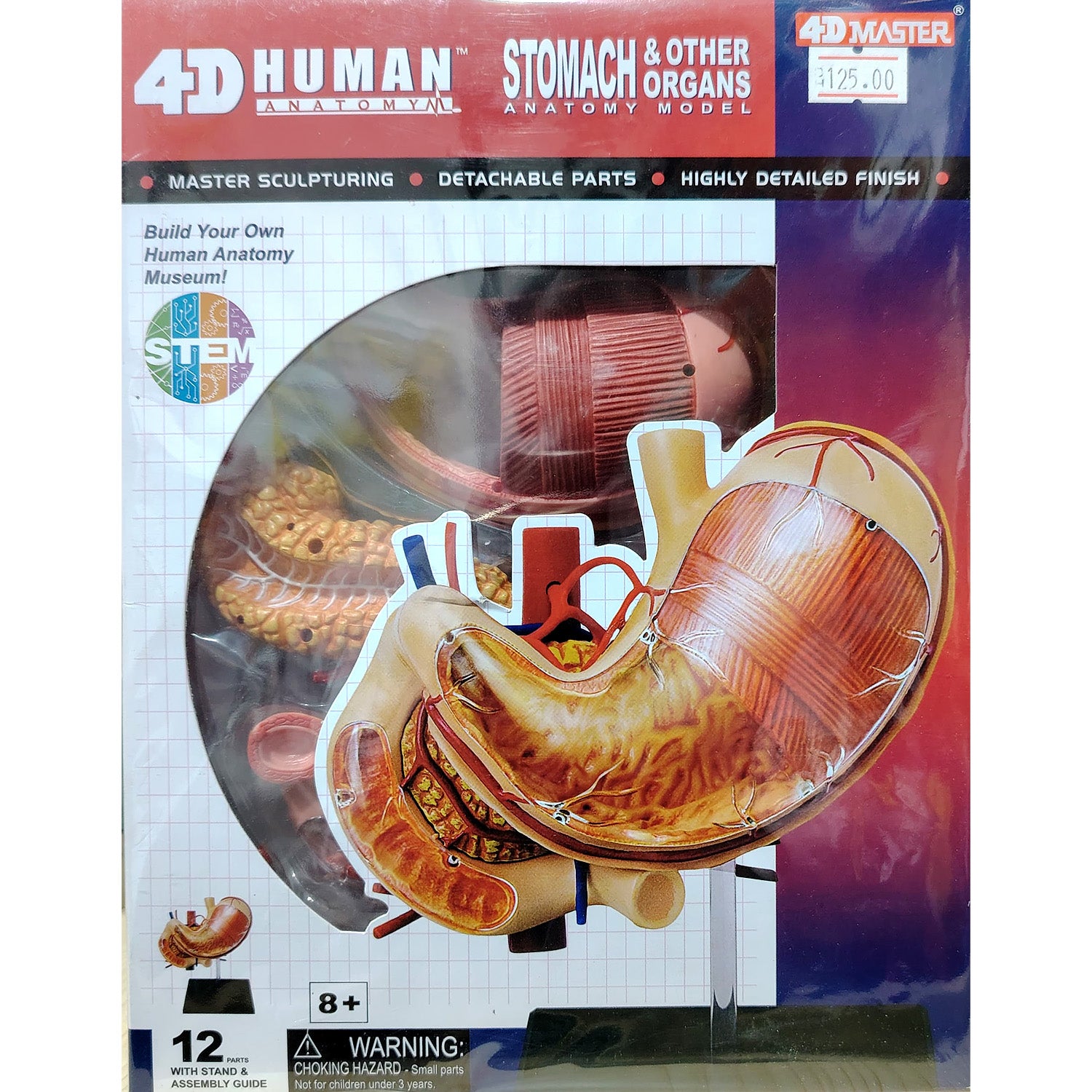 4D HUMAN ANATOMY: STOMACH & OTHER ORGANS Model, STEM Science Project Kit, Detachable Parts, Highly Detailed Finish, Age 8+