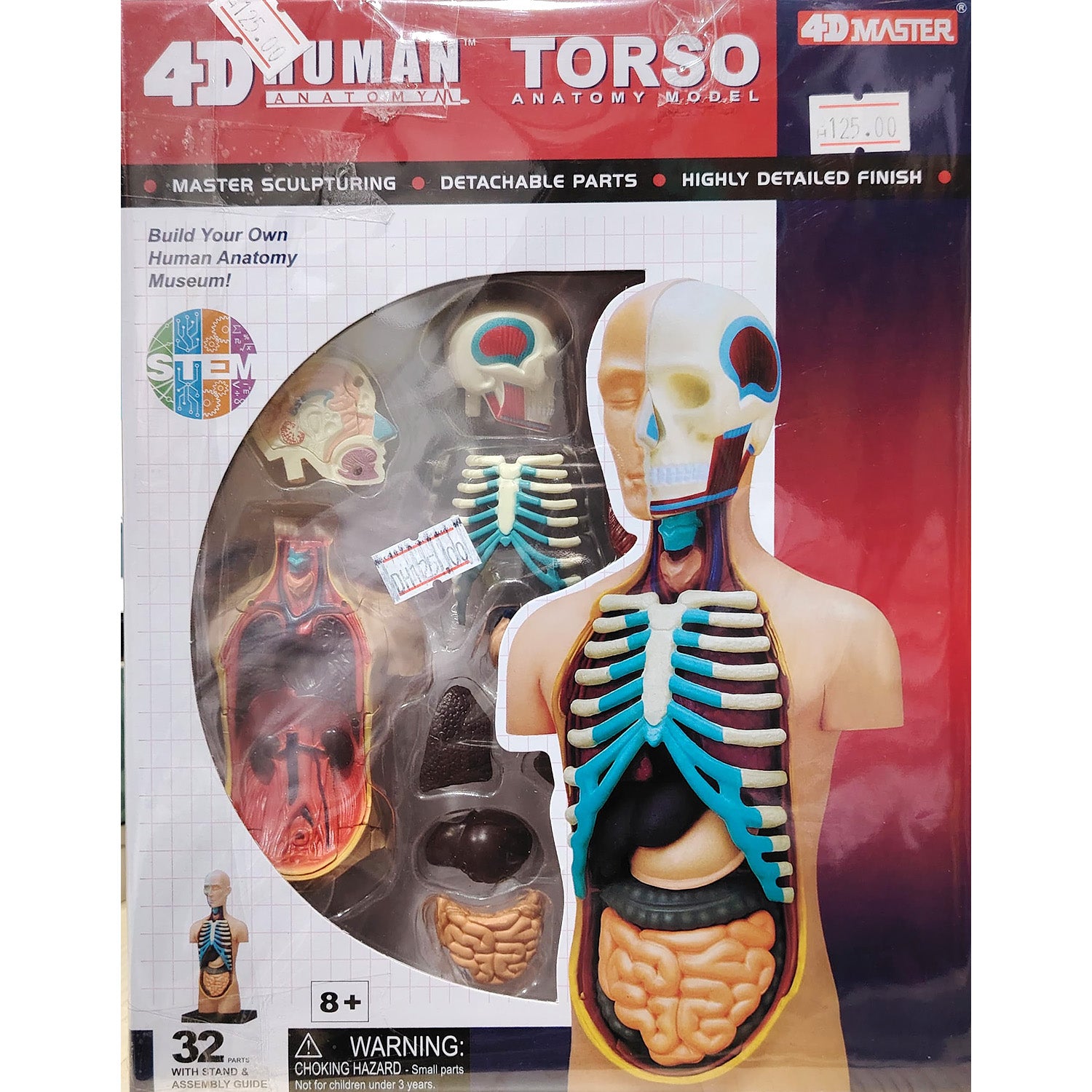 4D HUMAN ANATOMY: SMALL TORSO Model, STEM Science Project Kit, Detachable Parts, Highly Detailed Finish, Age 8+